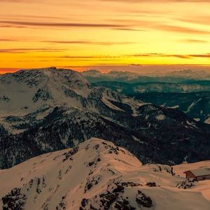 Meet your Posher, Vince